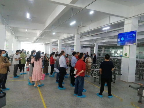 城區學校食品安全工作專題培訓會順利召開，強化校園食品安全防線